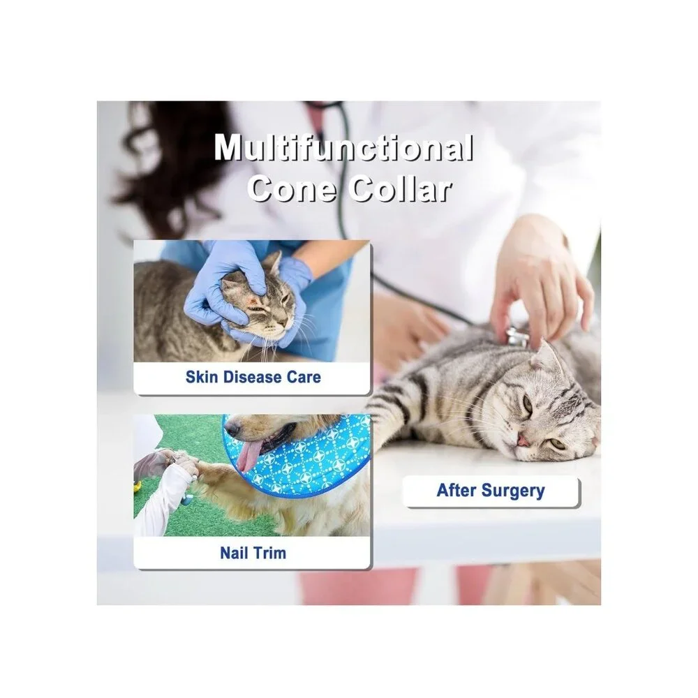 Small Dog or Cat Soft Cone Collar